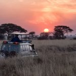 Top 3 Uganda Safaris You Shouldn’t Miss Out When On Tour