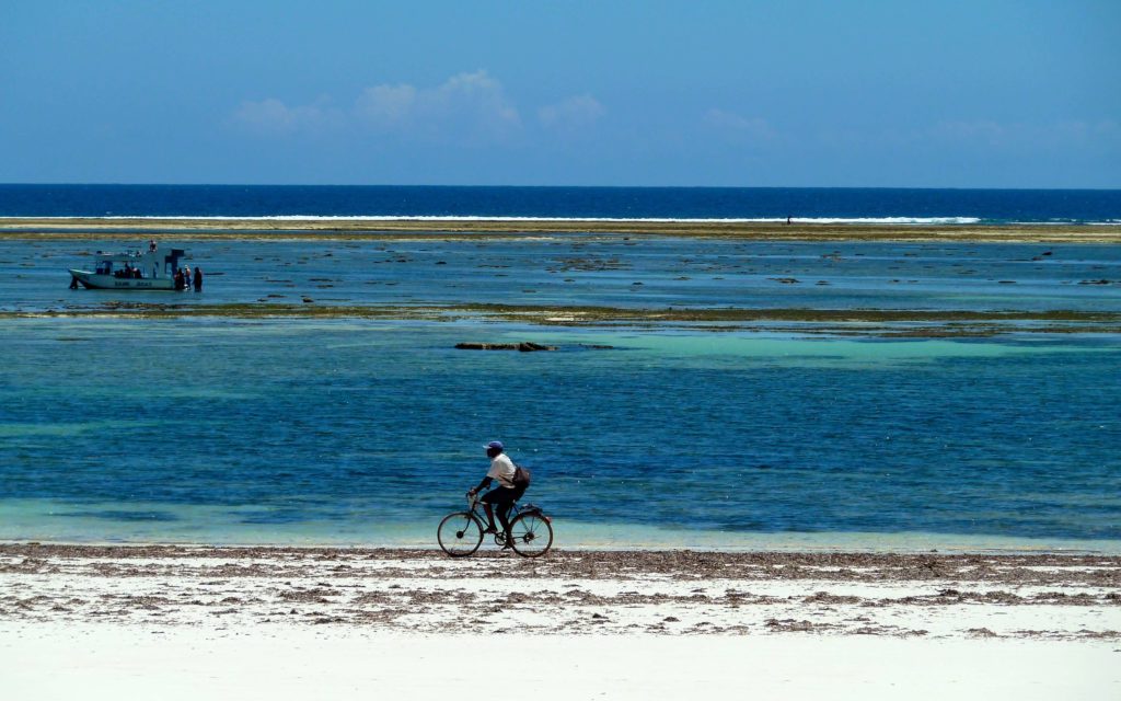 Explore some of Kenya's top beaches