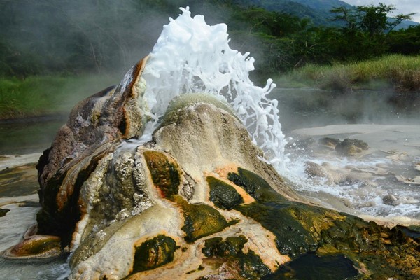 Uganda safari features trips to Semuliki & Queen Elizabeth parks