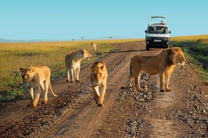 tsavo-east-tour