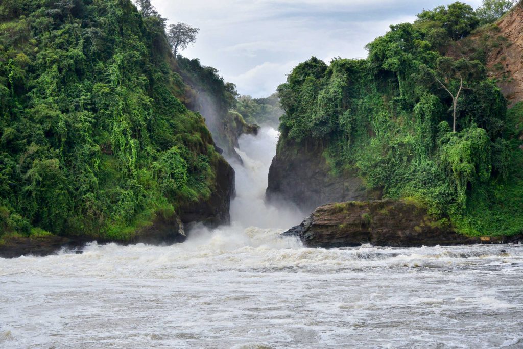 murchison image