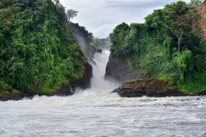 murchison image